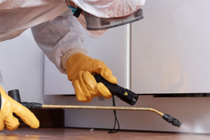 Messie Schädlingsbekämpfung Leverkusen